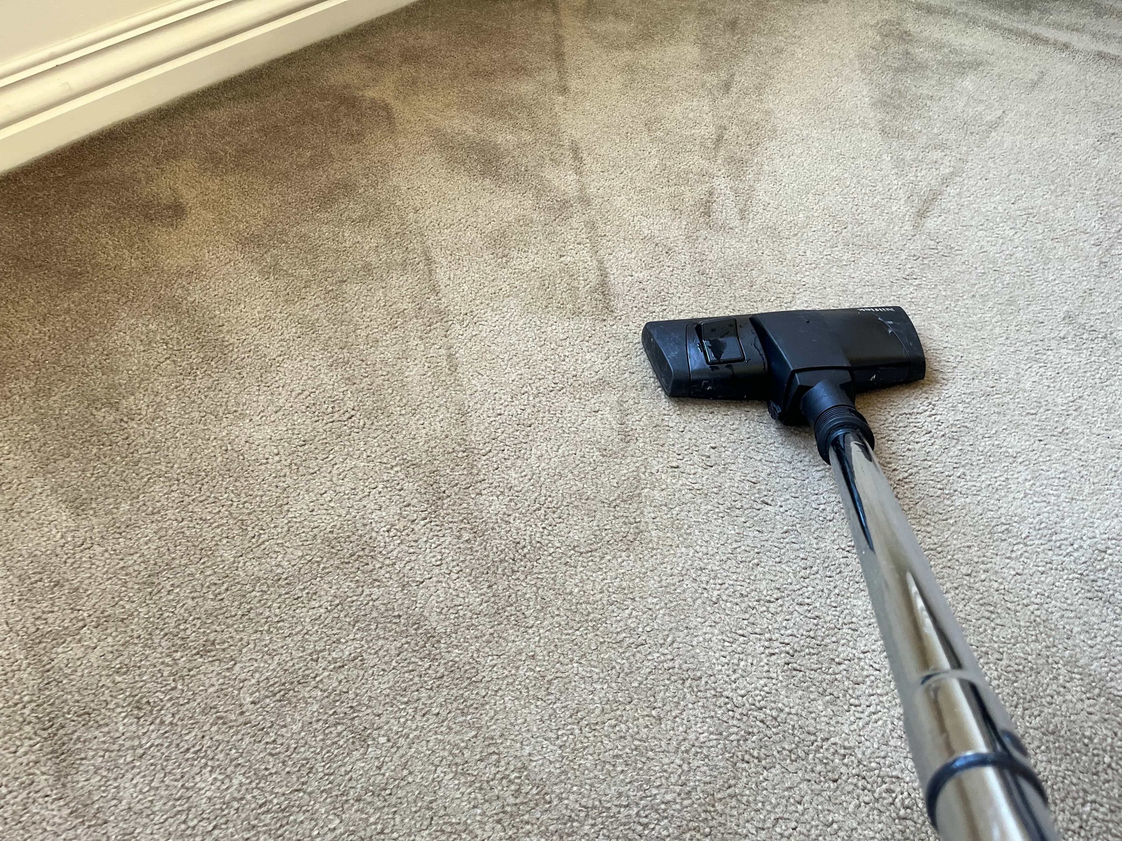 Carpet and upholstery steam cleaning