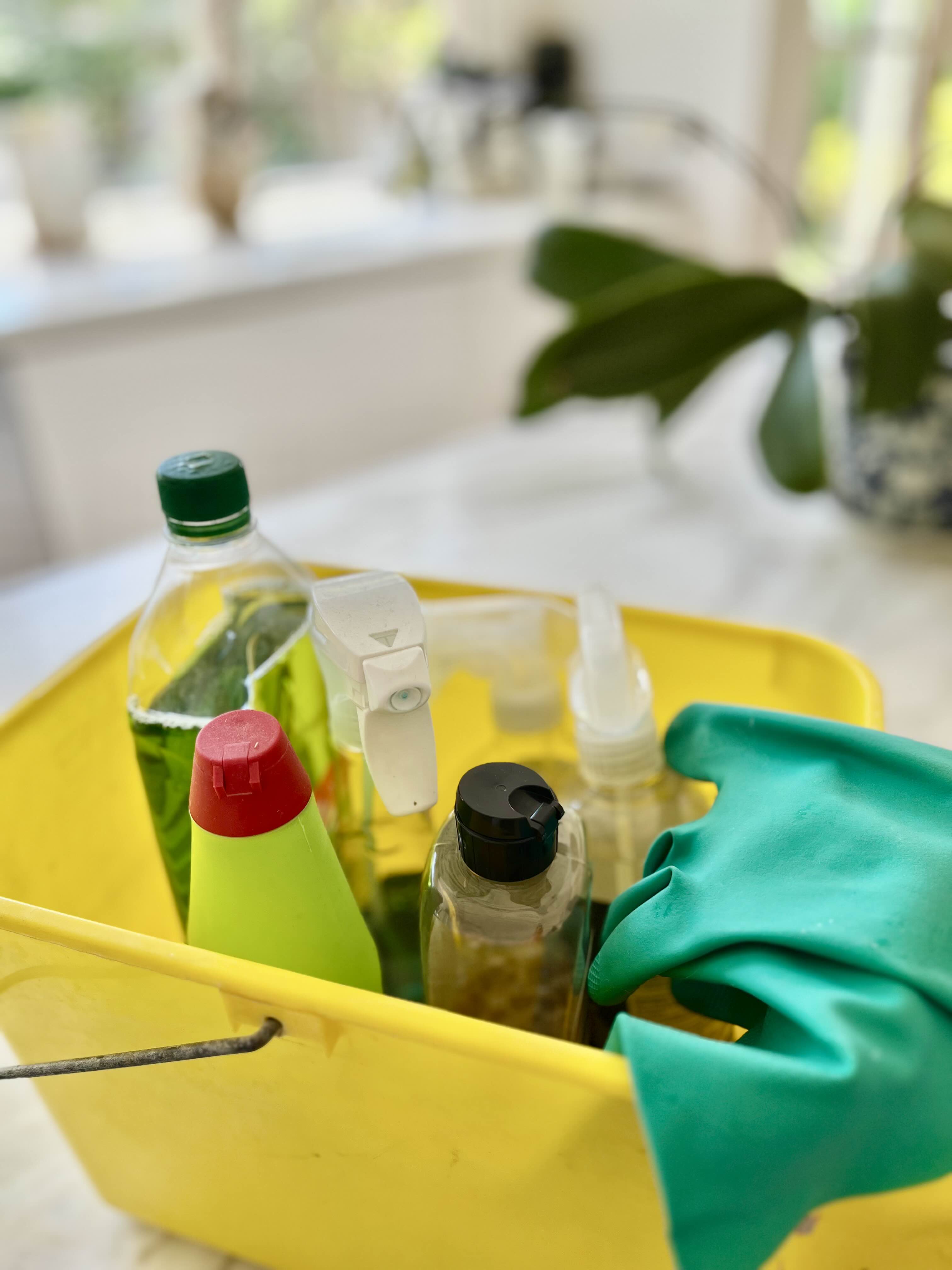 End-of-Lease Cleaning