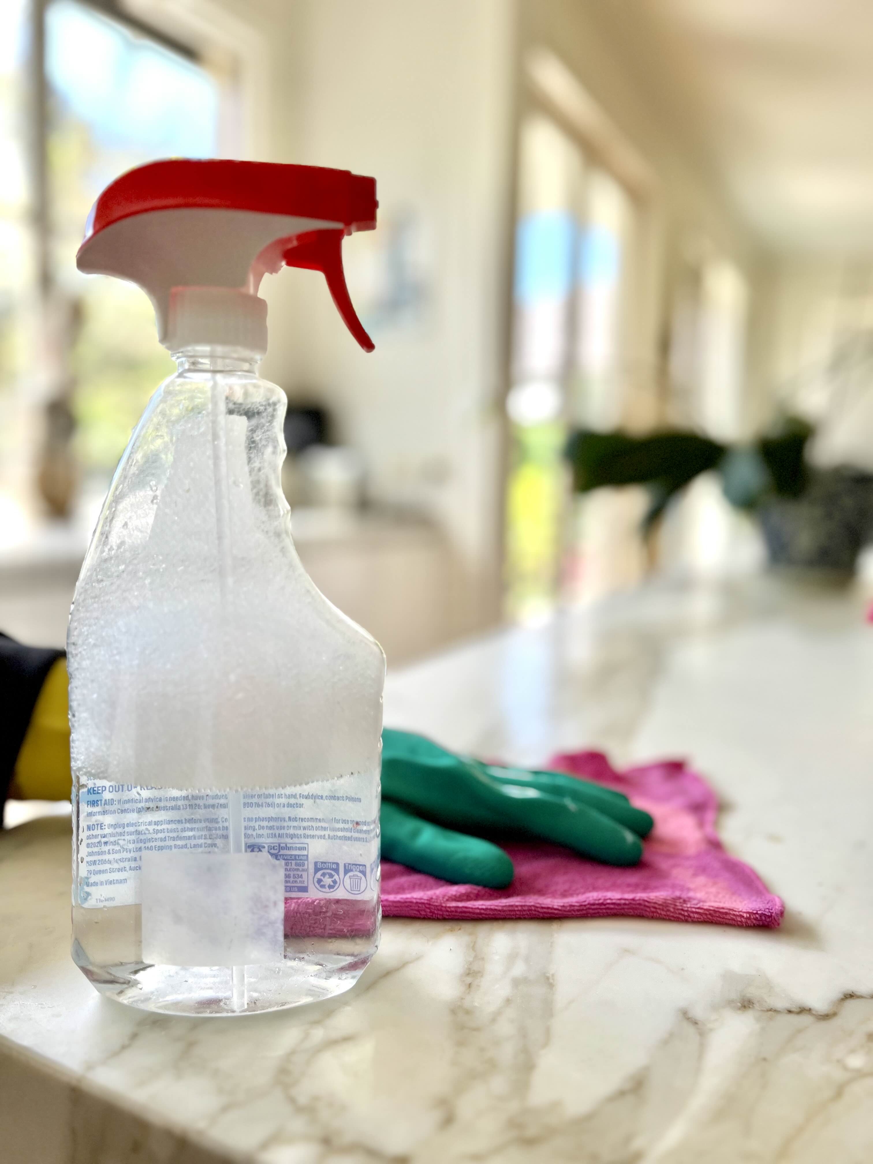 Professional cleaning service in action